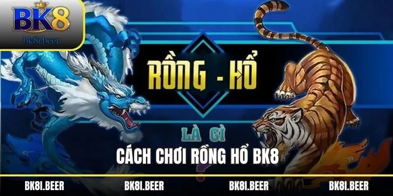 Cách chơi Rồng hổ BK8