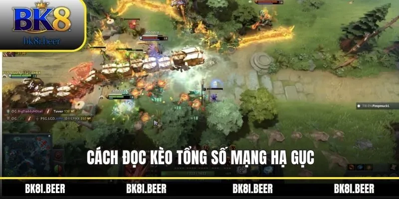 Cách đọc kèo tổng số mạng hạ gục Cách đọc kèo tổng số mạng hạ gục