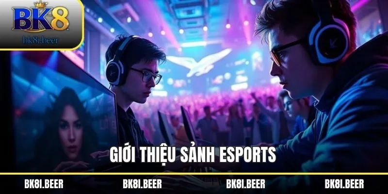 Giới thiệu sảnh Esports Giới thiệu sảnh Esports