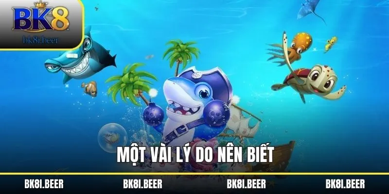 Một vài lý do nên biết Một vài lý do nên biết