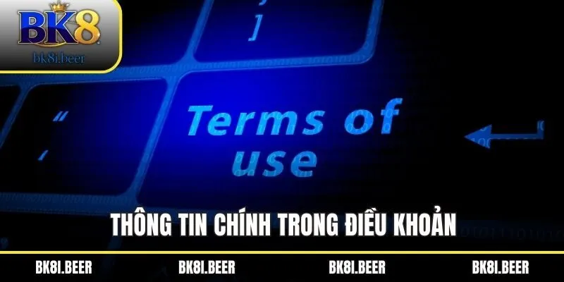 Thông tin chính trong điều khoản Thông tin chính trong điều khoản