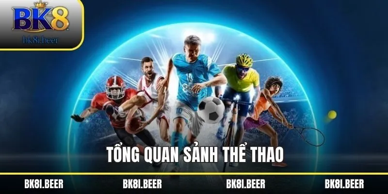 Tổng quan về sảnh thể thao Tổng quan về sảnh thể thao